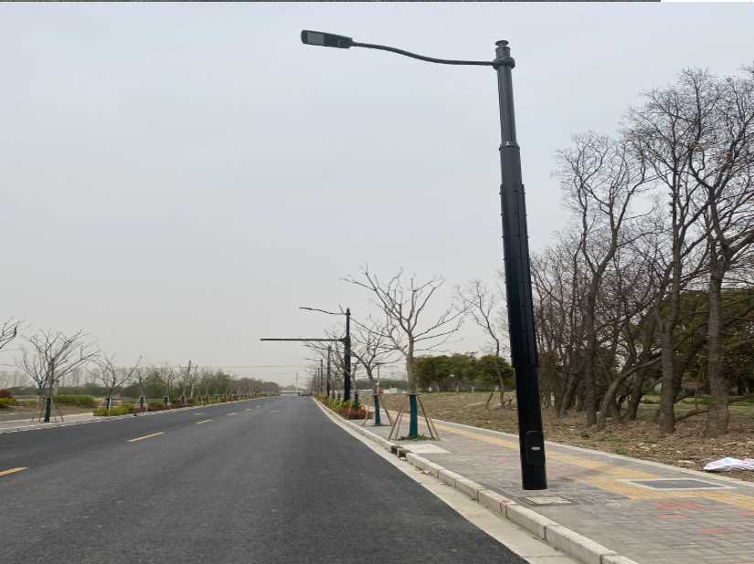 西昌市上海综合杆 太阳能路灯工程